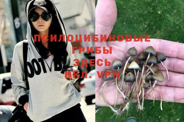 СК Новозыбков