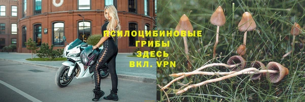 СК Новозыбков
