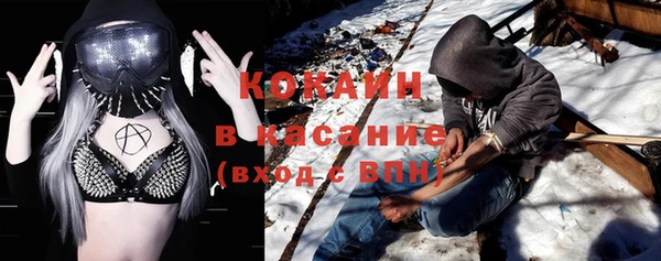СК Новозыбков