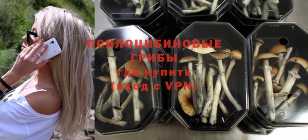 гашик Нефтегорск