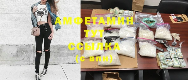 СК Новозыбков