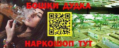 индика Беслан