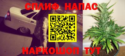 индика Беслан