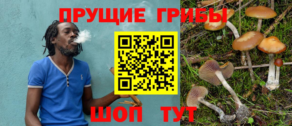 Рязань  Галлюциногенные грибы мухоморы  Вход с VPN 