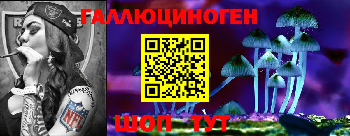 Псилоцибиновые грибы Psilocybine cubensis Рязань